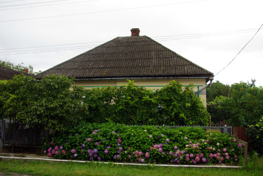 273756 (a): :3080x2062